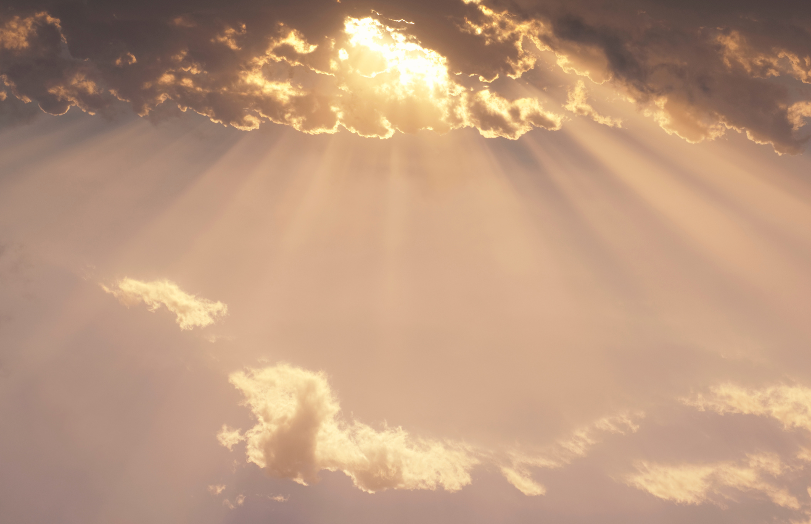 Episode 64: No other name under heaven